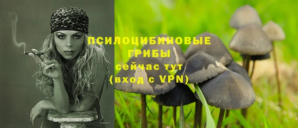 гидра Верея