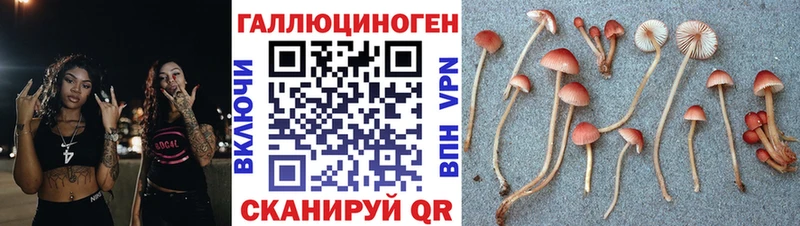 Псилоцибиновые грибы Psilocybine cubensis  где купить   ОМГ ОМГ вход  Клин 